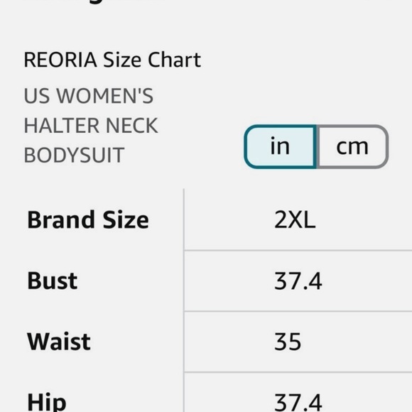 ReoRia Chocolate Brown Bodysuit - Picture 4 of 4